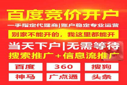行业领先企业的SEM代运营经验分享